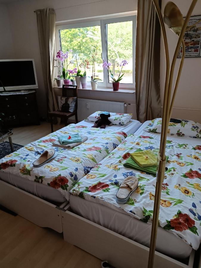 Weltoffenes Privates Gaestezimmer Bei Lgbtq Freundlichen Gastgeber Der Mit In Der Wohnung Lebt Berlino Esterno foto